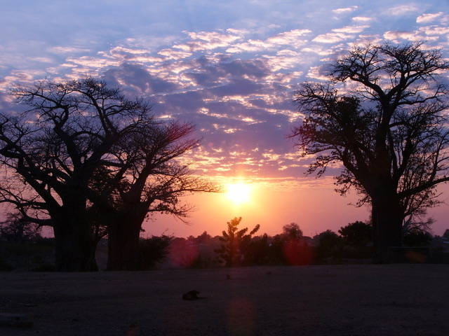 Macibombo Slide 2